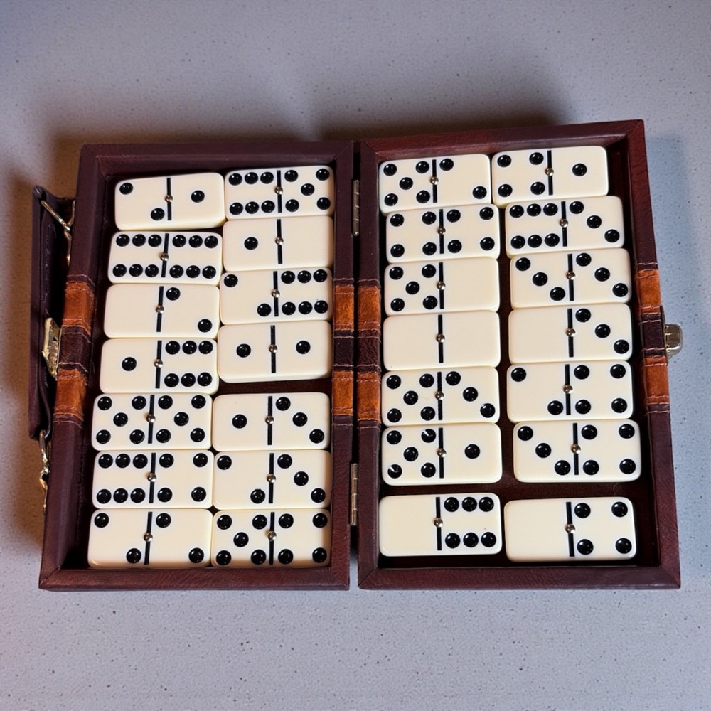 VINTAGE DOMINOES SET IN CASE WITH HANDLE